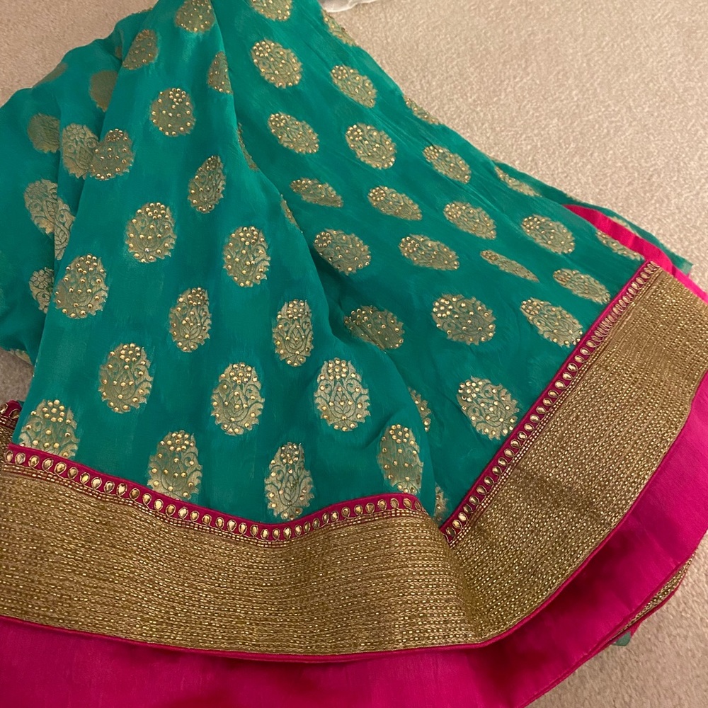 Sea green Indian Pakistani saree.